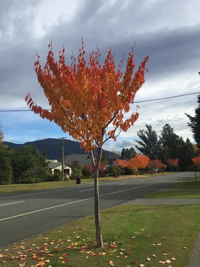 Bed and Breakfast Shakespeare House Te Anau Esterno foto